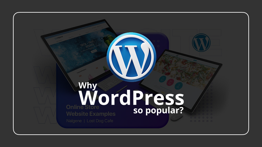 Why WordPress so popular